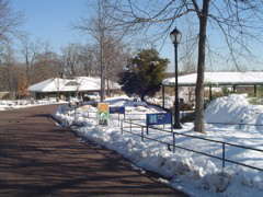 DSC01864.JPG