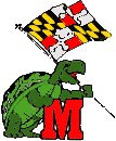 turtle waving flag